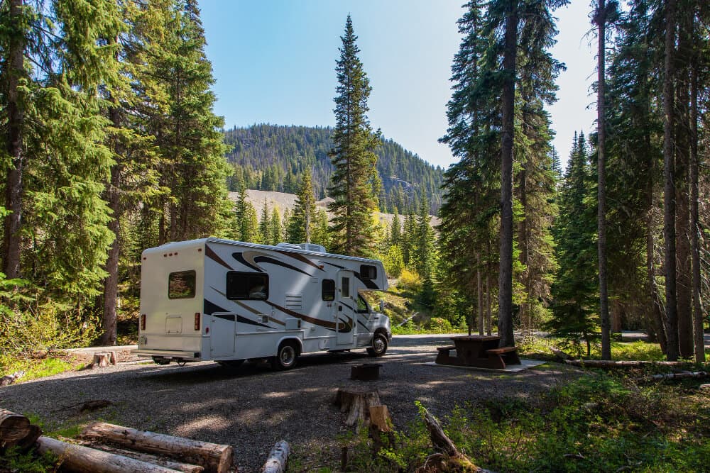 Photo of a campervan in the forest